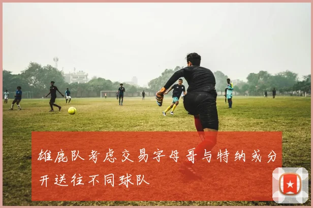 雄鹿队考虑交易字母哥与特纳或分开送往不同球队